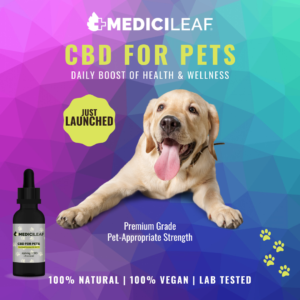CBD for Pets